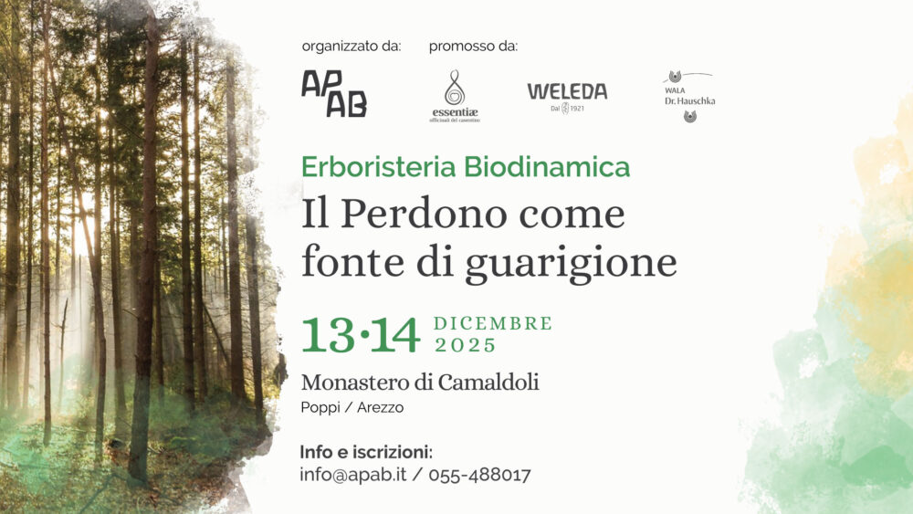 camaldoli 2025 12 13 fb